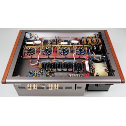 Amplificatore di potenza Leben CS-1000P