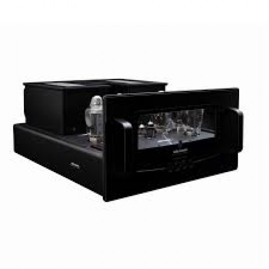 Amplificatore finale Audio Research Reference 33OM Mono (cadauno)