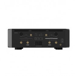 Amplificatore EverSolo AMP-F10