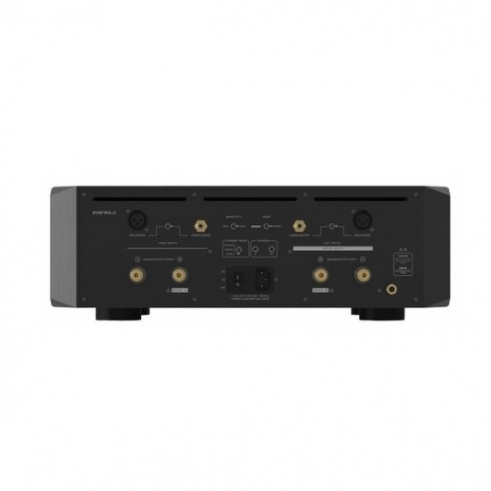 Amplificatore EverSolo AMP-F10