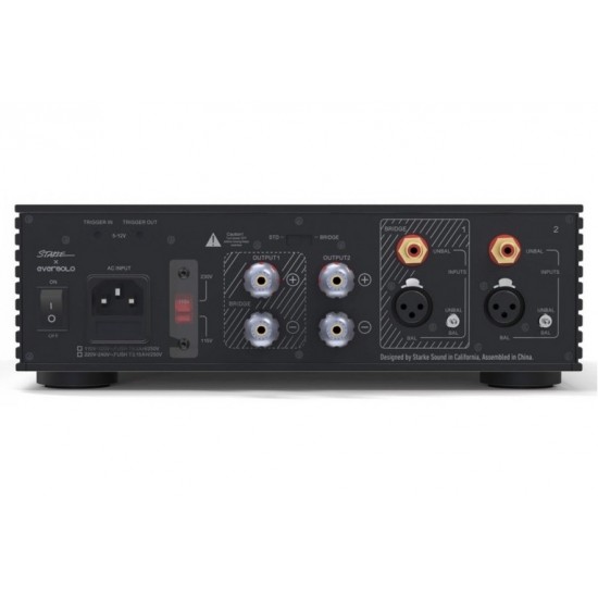 Amplificatore finale EverSolo AMP-F2