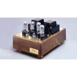 Amplificatore valvolare Nightingale finale ATS 30