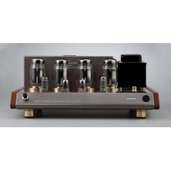 Amplificatore di potenza Leben CS-1000P