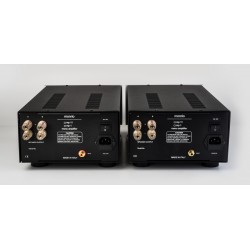 Monrio MP11 – Amplificatori mono (cadauno)