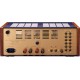 Amplificatore Integrato Leben CS-300XS