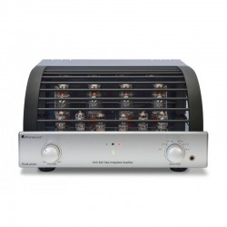 Amplificatore Integrato PrimaLuna Evo 300