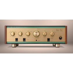 Amplificatore Integrato Leben CS-600X