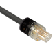 Kimber Kable PK 10 Ascent  Gold (cadauno) 