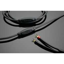 Cavo per diffusori Transparent MusicWawe 2,5 mt. (coppia)