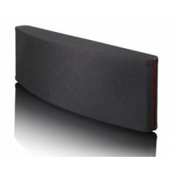 Canale Centrale Magneplanar Incorporated CCR