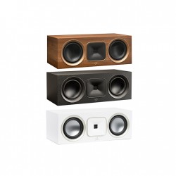 Canale centrale Martin logan Foundation C1