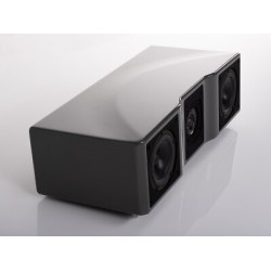 Canale centrale Wilson Audio WASAE
