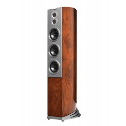 Diffusori da pavimento Audiovector R 10 Arreté (coppia)