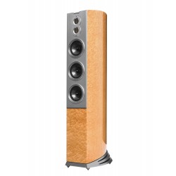 Diffusori da pavimento Audiovector R 10 Arreté (coppia)