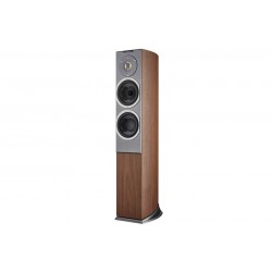 Diffusore da pavimento Audiovector R3 Avantgarde (coppia)