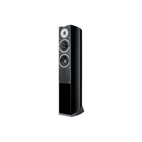 Diffusore Audiovector R 6 Avantgarde (coppia)