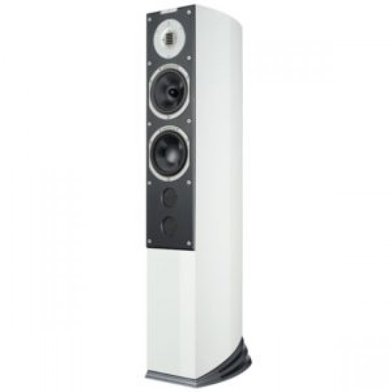 Diffusore Audiovector R6 Signature (coppia)