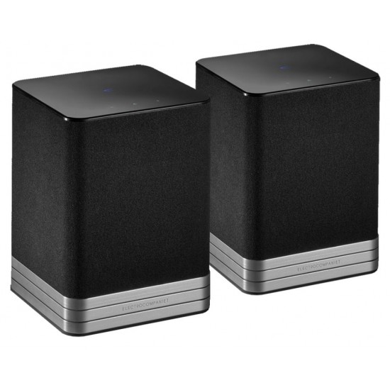 Diffusore Electrocompaniet Tana SL 2 (coppia)