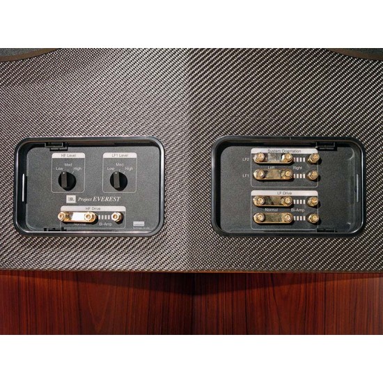 Diffusore da pavimento Jbl Everest DD67000 (coppia)
