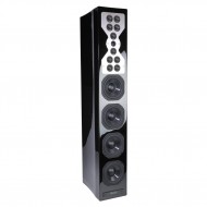 Diffusori McIntosh XR 100 (coppia)