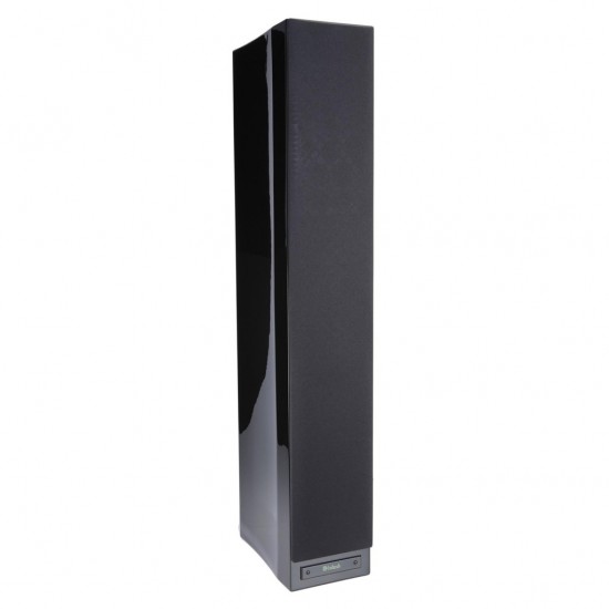 Diffusori McIntosh XR 100 (coppia)