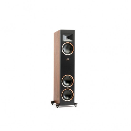 Diffusore da pavimento Martin Logan Motion F10 (coppia)
