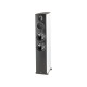 Diffusore da pavimento Paradigm Premier 800 F (coppia)