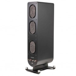 Diffusore da pavimento PS Audio Aspen FR10 (coppia)