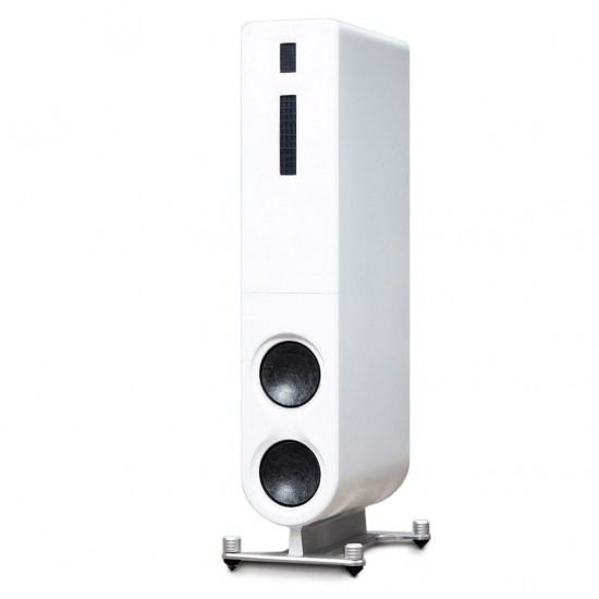 Diffusore da pavimento PS Audio Aspen FR10 (coppia)