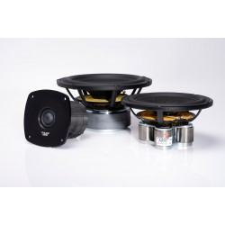 Diffusori Wilson Audio Sabrina V (coppia)