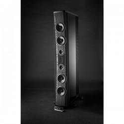 Diffusori da pavimento Gryphon Trident II (coppia)
