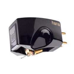 Testina Hana Umami Black