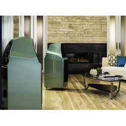Diffusori Wilson Audio Sasha V coppia)