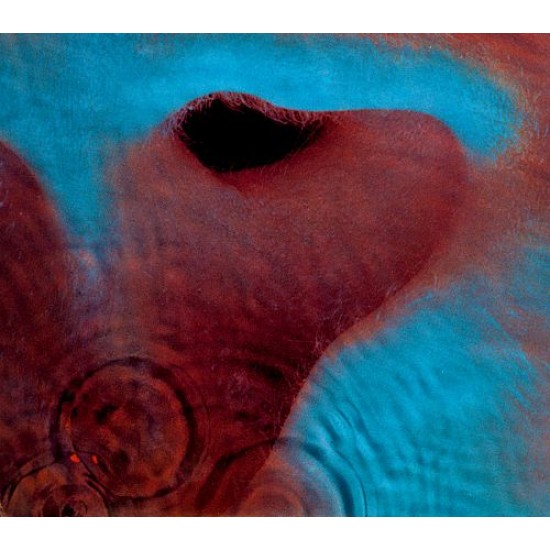 Pink Floyd Meddle